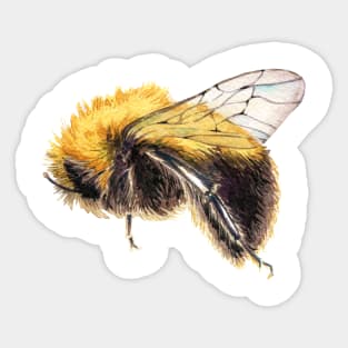 bumblebee Sticker